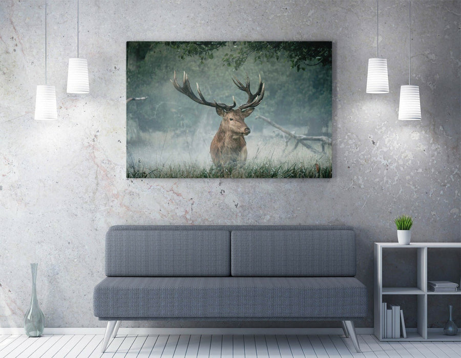 Canvas Wall Art - Majestic Stag Framed Print | Wildlife Canvas Art, Handmade UK