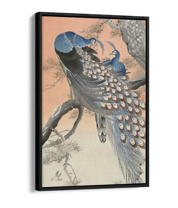 OHARA KOSON, TWO PEACOCKS ON TREE BRANCH -FLOAT EFFECT CANVAS WALL ART PIC PRINT