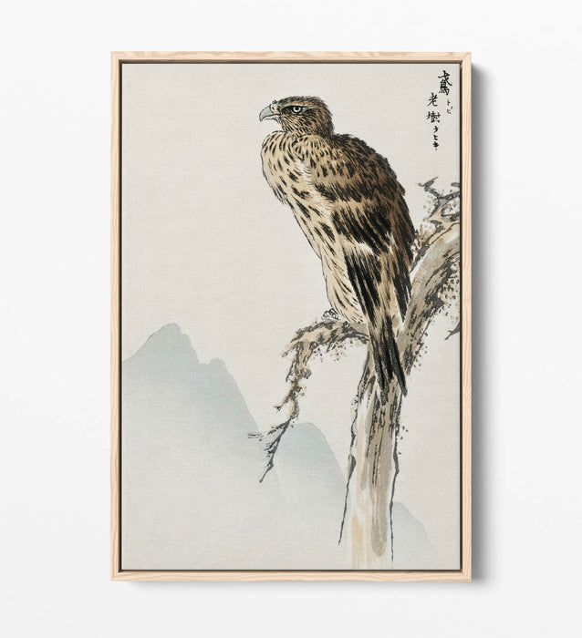 Canvas Wall Art - Numata Kashu Black Eared Kite Float Effect Print on Premium Frame