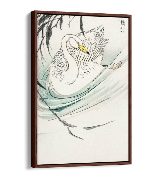 Float Effect Canvas Art - Wooper Swan Artwork on Premium 30mm Deep Frame