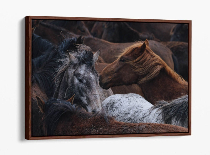 Horse Canvas Art - Float Effect Canvas Wall Art Print With Vibrant Color