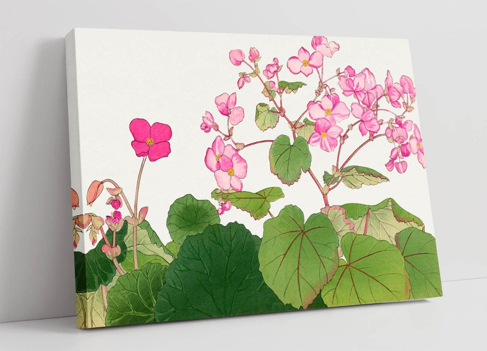 Japanese Canvas Wall Art – Vibrant Begonia Flower Print | Handmade MDF Frame Canvas