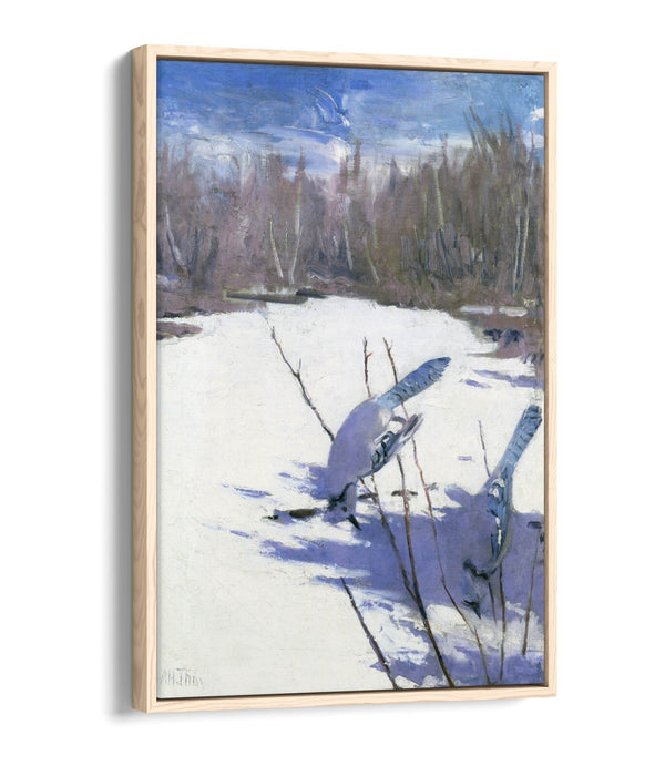 Canvas Art Print – Blue Jays In Winter Float Effect On MDF Frame, Ready To Hang