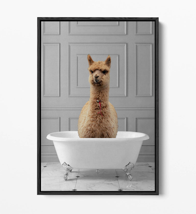Llama Canvas Wall Art - Quirky Bathroom Float Effect Print on Premium MDF Frame
