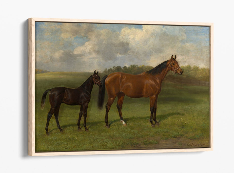 EMIL ADAM, PERDITA II WITH HER FOAL -FLOAT EFFECT CANVAS WALL ART PRINT