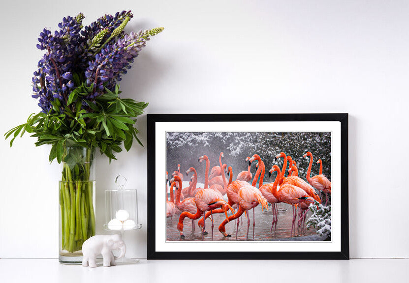 Flamingos Wall Art - Animal Framed Print With Natural Wood Frame, Ready To Hang