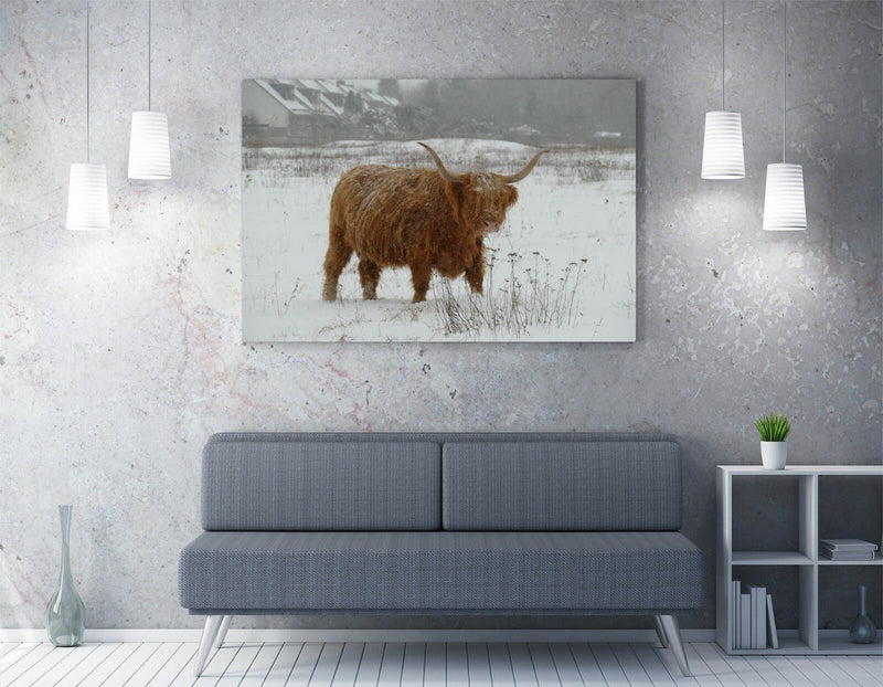 Canvas Wall Art – Highland Cow Artwork | Snowy Landscape Print, Framed Wall Art