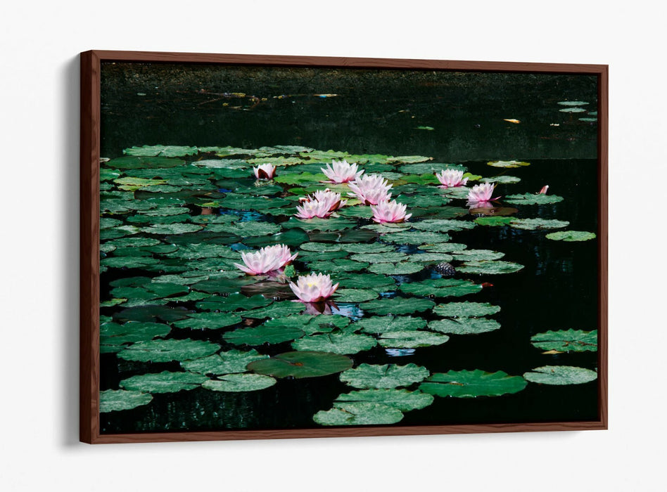 WATERLILIES FLORAL BOTANICAL PHOTOGRAPHY -FLOAT EFFECT CANVAS WALL ART PIC PRINT