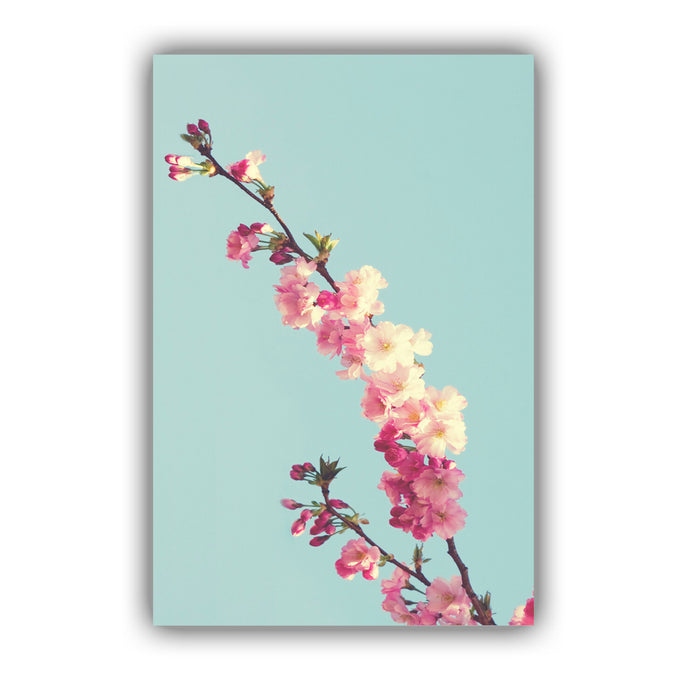Canvas Wall Art - Cherry Blossom Teal Floral Print | Premium Varnished Satin Finish