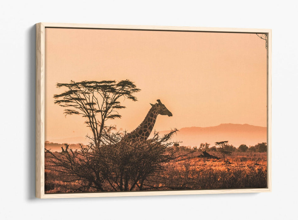 GIRAFFE IN THE CLOUDS -FLOAT EFFECT CANVAS WALL ART PIC PRINT- ANIMAL PHOTOGRAPH
