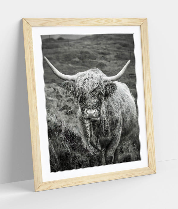 Highland Cow Wall Art – Black and White Poster with Natural Wood Frame | UK Handmade