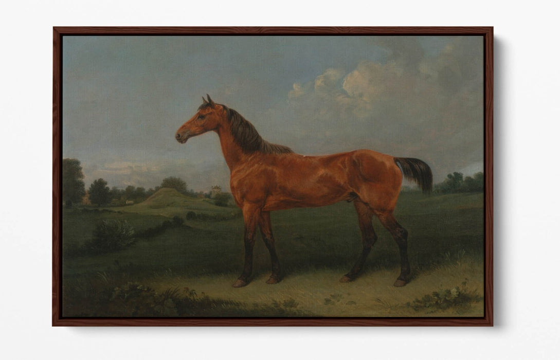 Canvas Wall Art - Edmund Bristow Bay Horse Float Effect Handmade Print