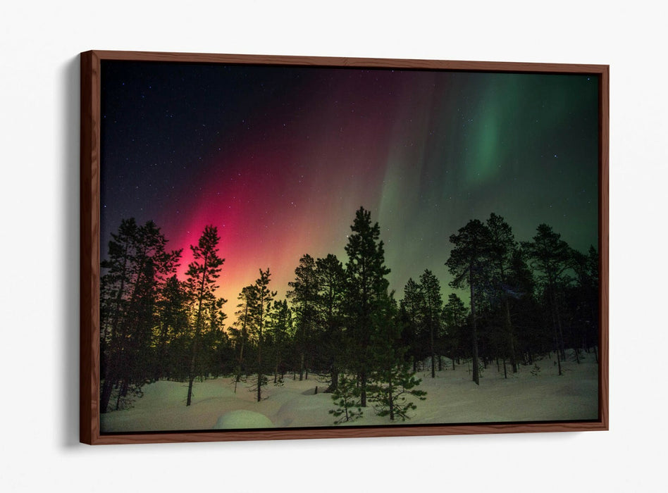Float Effect Canvas Art - Northern Lights Graffiti Print | Pink Green Wall Decor