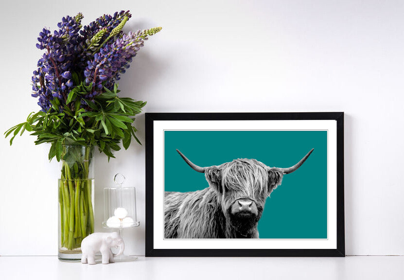 HIGHLAND COW BLACK AND WHITE TEAL FRAMED POSTER WALL ART PRINT ARTWORK DESIGN