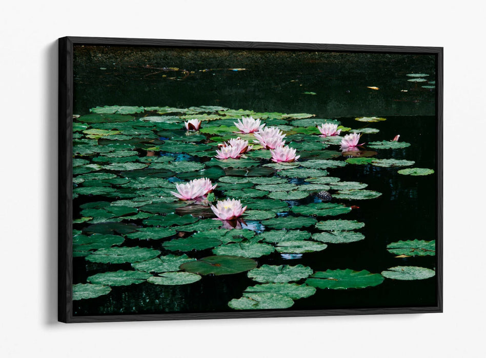 WATERLILIES FLORAL BOTANICAL PHOTOGRAPHY -FLOAT EFFECT CANVAS WALL ART PIC PRINT