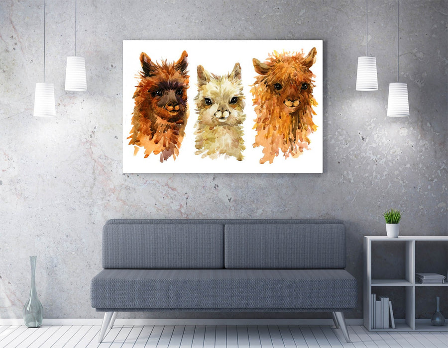 Alpaca Canvas Art - Watercolour Wall Decor With Three Cute Alpacas Painting
