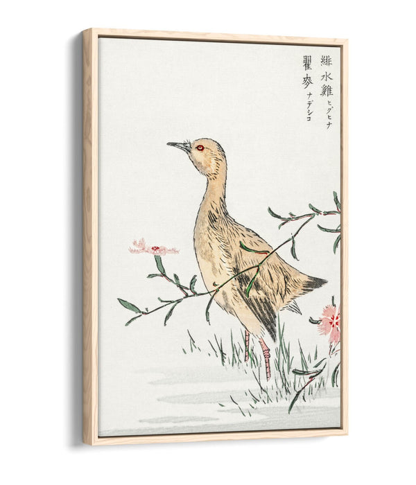 Float Effect Canvas Art – Eastern Redshank & Pink Flower | Premium Wall Decor