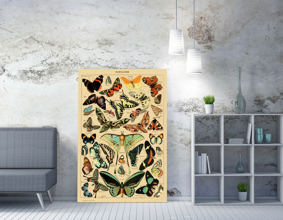 VINTAGE BUTTERFLIES ART POSTER RETRO -CANVAS WALL ART PICTURE PRINT