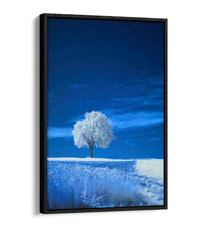 Canvas Wall Art – Abstract White Tree Painting in Blue Landscape | Float Effect Canvas Print
