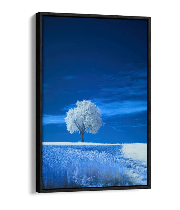 Canvas Wall Art – Abstract White Tree Painting in Blue Landscape | Float Effect Canvas Print