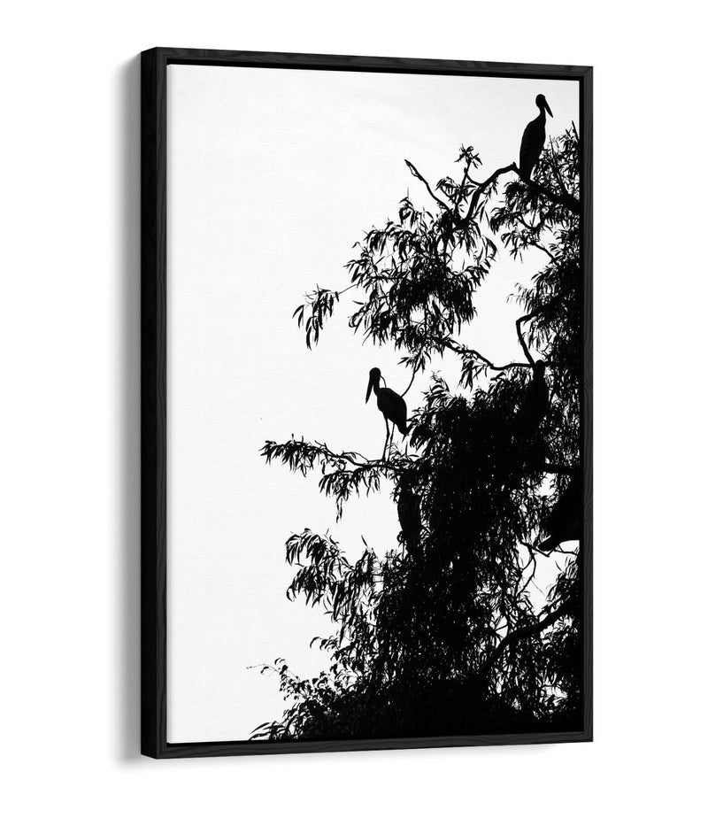 Canvas Wall Art – Bird Silhouette on Tree | Handmade Float Effect Frame, Premium Varnish Finish