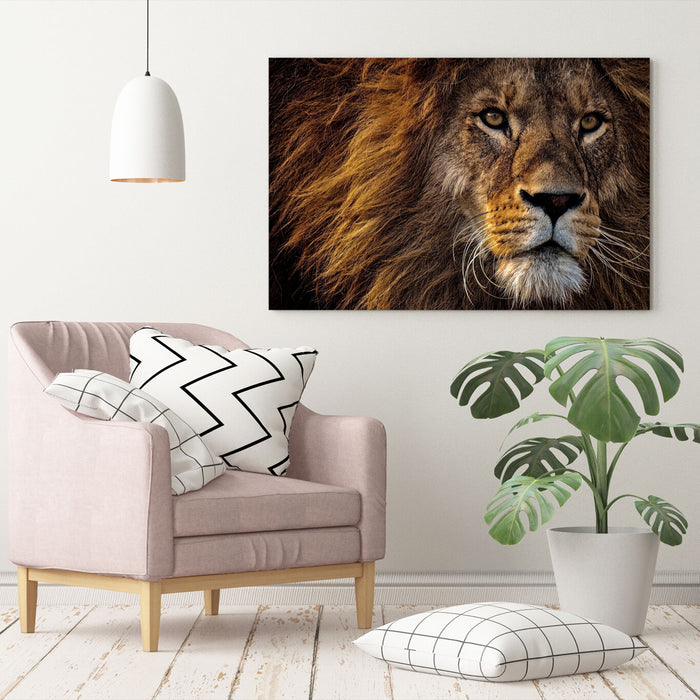 LION HEAD CANVAS WALL ART PRINT ARTWORK FRAMED  STRENGTH FIERCE COURAGE