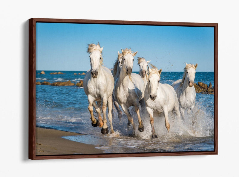Canvas Wall Art - White Horses Running on Beach | Float Effect Print
