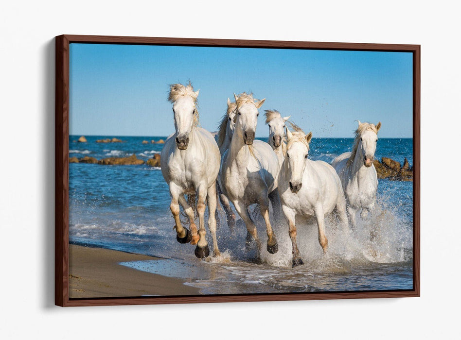 Canvas Wall Art - White Horses Running on Beach | Float Effect Print
