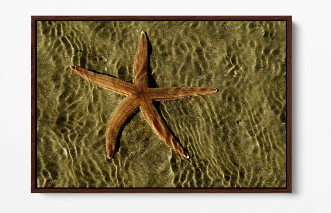 Canvas Wall Art - Starfish On Sand Float Effect Premium Handmade Print