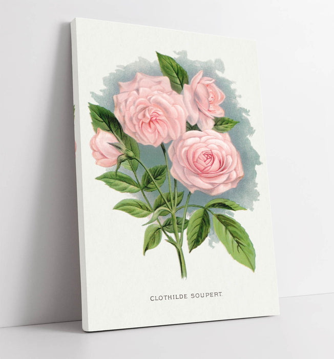 Canvas Wall Art - Pink Rose Artwork | Clothilde Soupert Print on Archival Grade Canvas