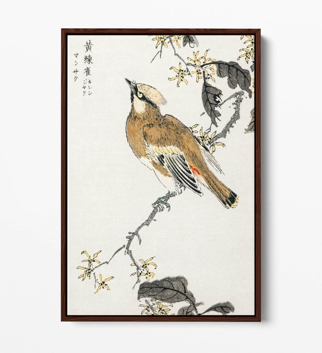 Canvas Wall Art - Numata Kashu Eastern Waxwing Float Effect Canvas Print
