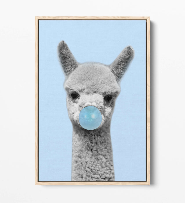 ALPACA BLACK WHITE BABY BLUE BUBBLEGUM FLOAT EFFECT CANVAS WALL ART PIC PRINT