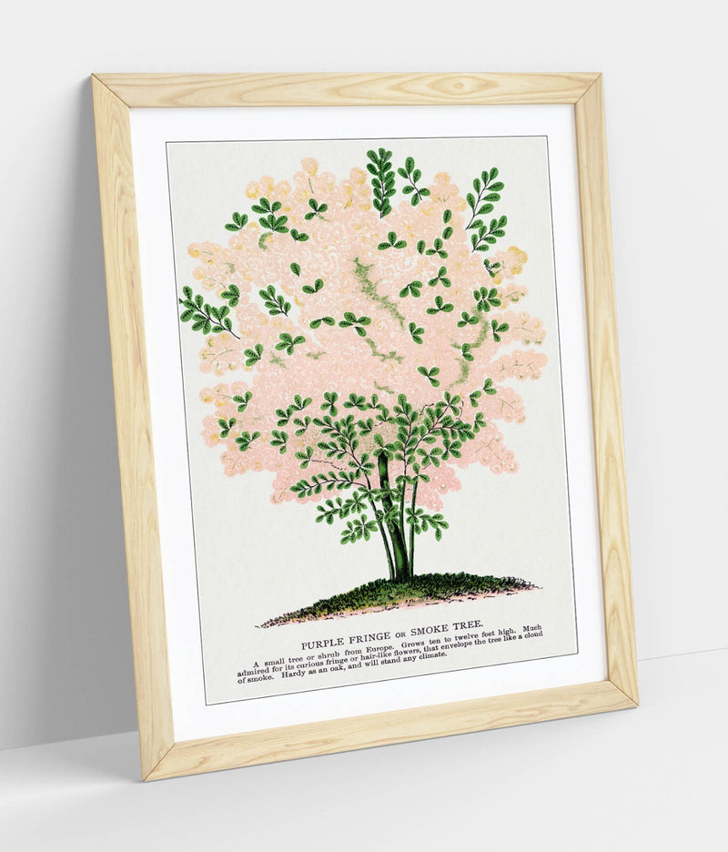 Framed Wall Art Poster - Purple Fringe Tree Print | Handmade UK Wall Art, Matte Paper