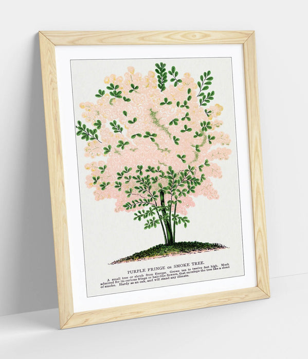 Framed Wall Art Poster - Purple Fringe Tree Print | Handmade UK Wall Art, Matte Paper