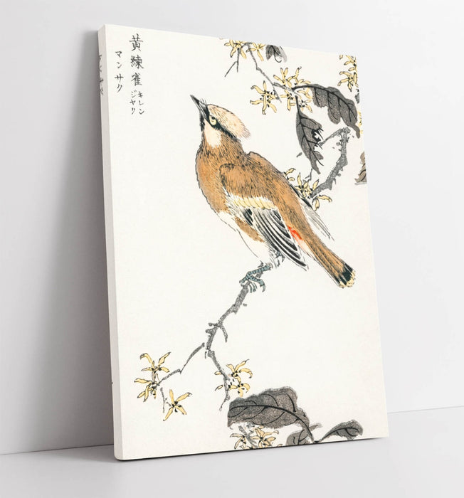 Canvas Wall Art - Numata Kashu Eastern Waxwing Bird Print on Custom Stretched Canvas