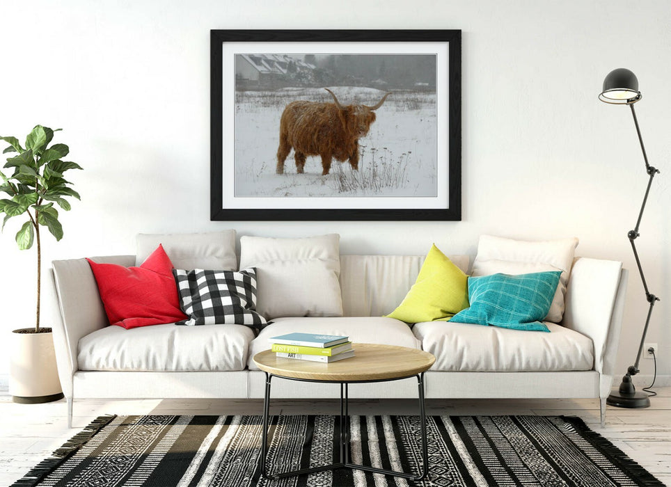 HIGHLAND COW SNOWY LANDSCAPE -WALL ART FRAMED POSTER PICTURE PRINT- ANIMAL PHOTO