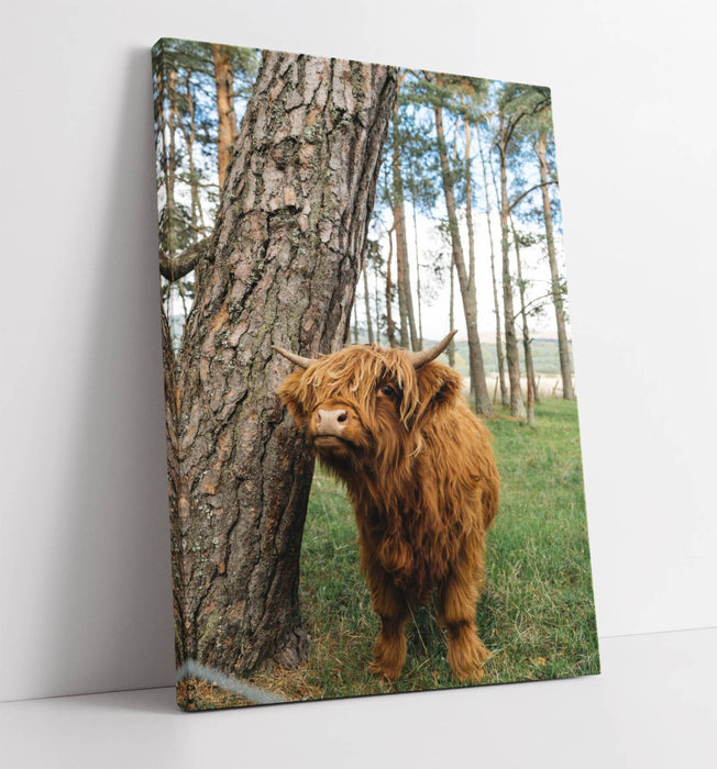 Highland Cow Canvas - Handmade Canvas Print With Scratch Resistant Finish