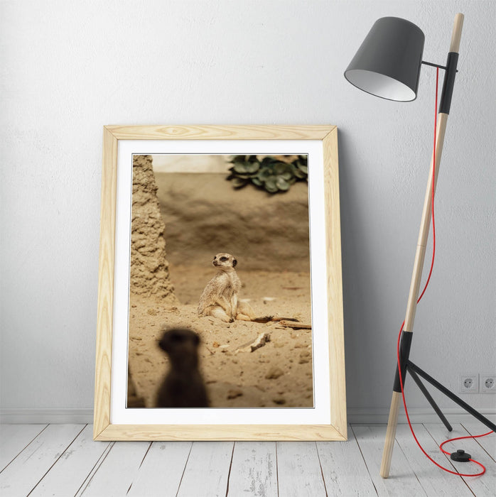 Meerkat Wall Art - Framed Sand Meerkat Print | Cute Animal Art Bedroom Decor