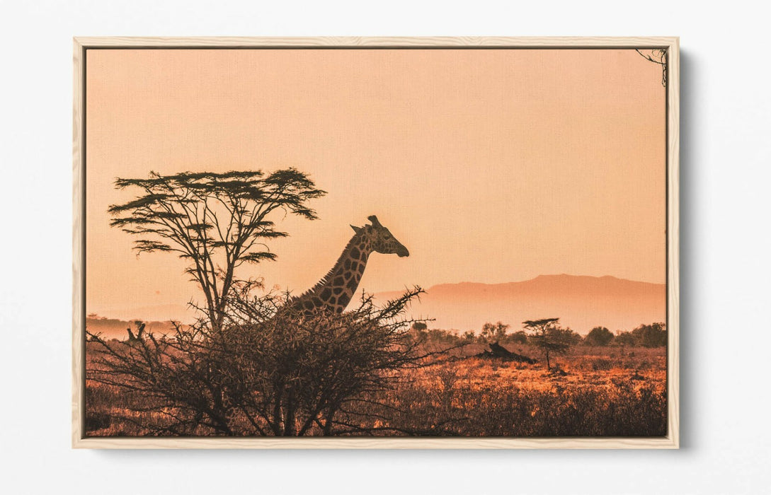 GIRAFFE IN THE CLOUDS -FLOAT EFFECT CANVAS WALL ART PIC PRINT- ANIMAL PHOTOGRAPH