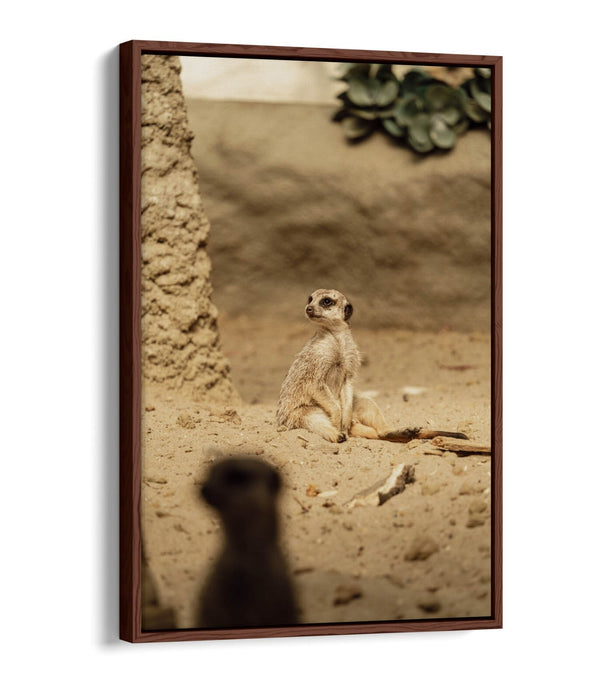 Canvas Wall Art - Cute Meerkat Print With Float Effect | Handmade UK Bedroom Decor