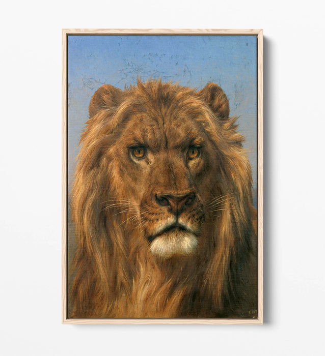 Canvas Wall Art – Lion Portrait Canvas with Float Effect, Ready to Hang