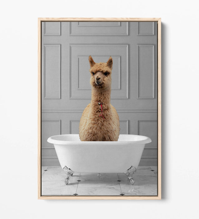 LLAMA IN BATHTUB -QUIRKY BATHROOM FLOAT EFFECT CANVAS WALL ART PIC PRINT
