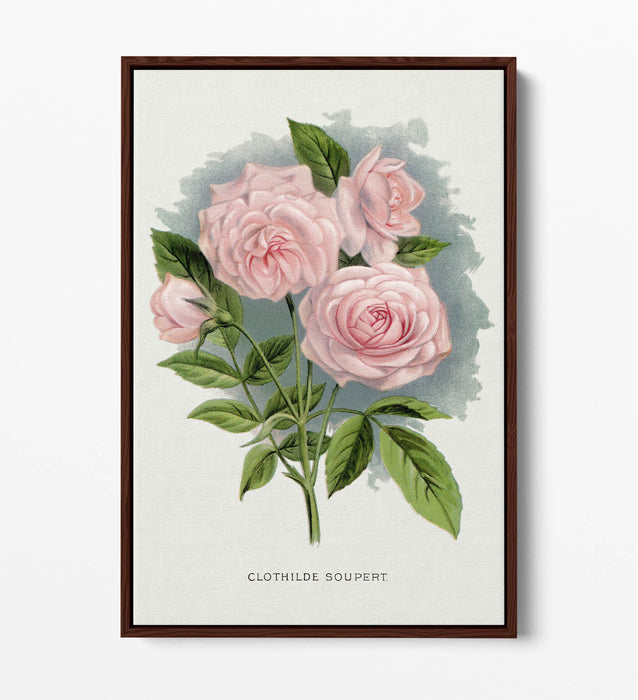 Canvas Wall Art Print – Pink Rose Artwork | Float Effect Canvas, Vibrant Colour Prints