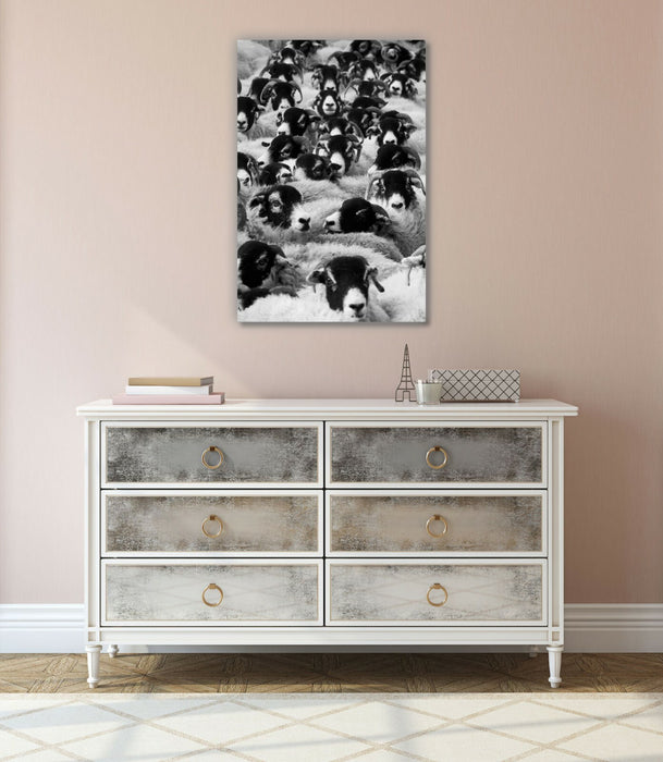 Black White Canvas Art - Sheep Head Artwork On 30mm Deep Frame, Ready To Hang