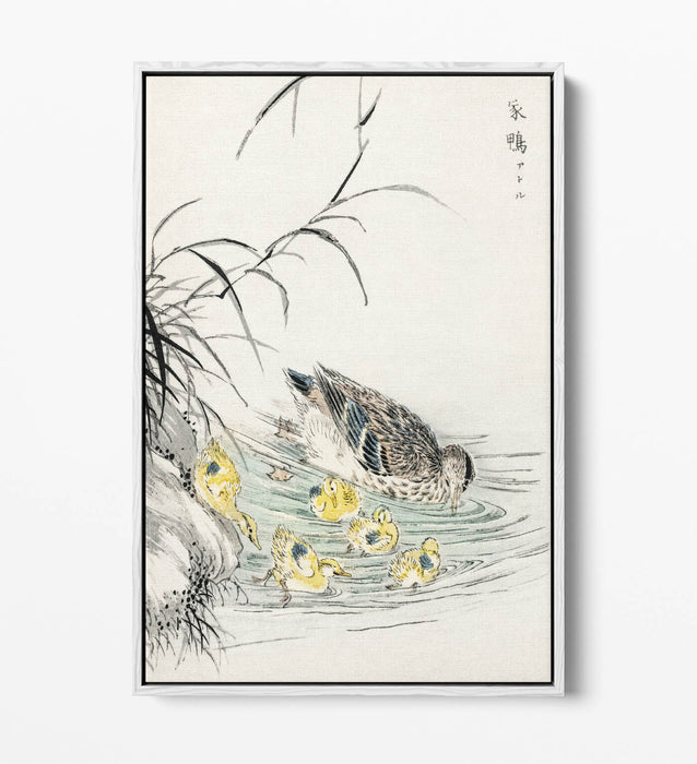 Canvas Wall Art Print - Duck and Ducklings Float Effect on Premium 30mm Deep Frame