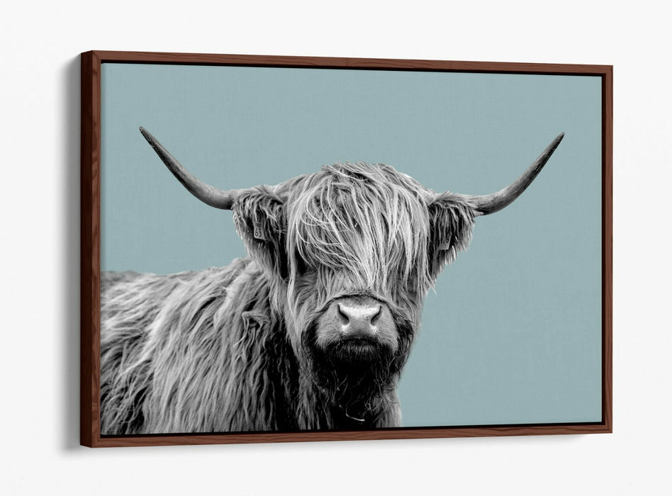HIGHLAND COW DUCK EGG BLUE -FLOAT EFFECT CANVAS WALL ART PIC PRINT-