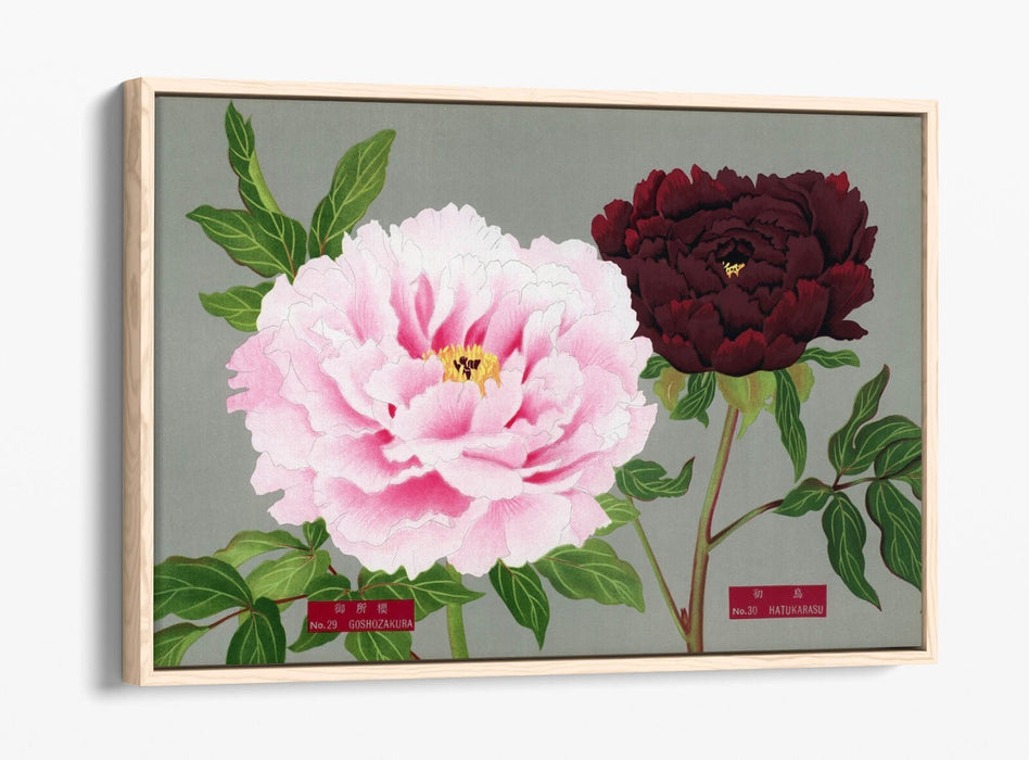 Vintage Canvas Wall Art – Peony Blossom Decor With Float Effect Frame, Handmade UK