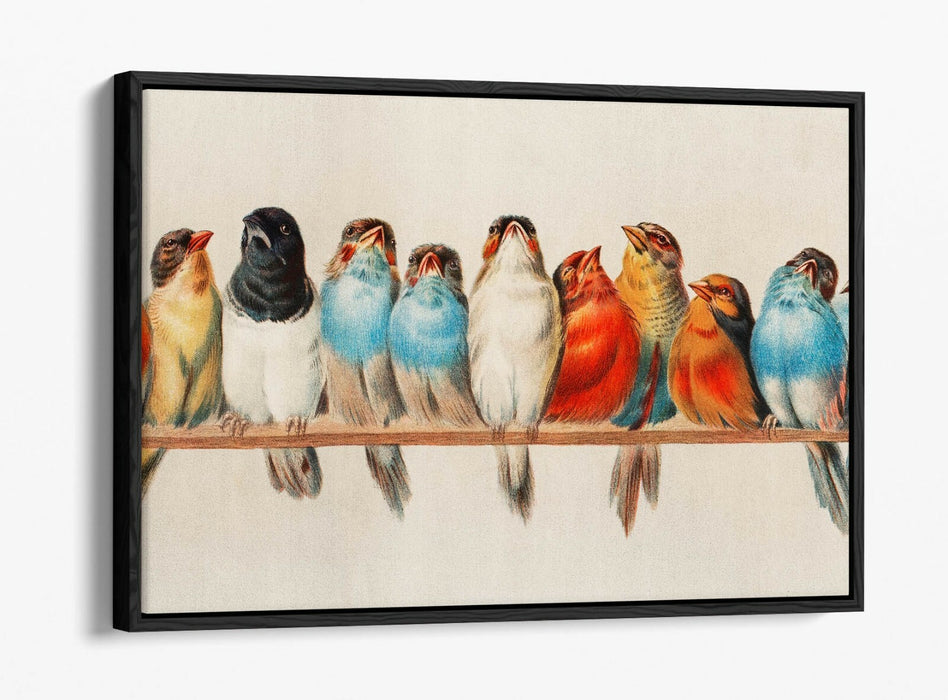 BIRDS ON A PERCH VINTAGE ART -FLOAT EFFECT CANVAS WALL ART PIC PRINT- RED BLUE