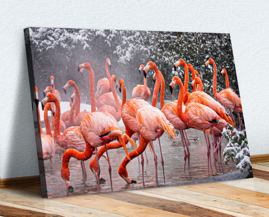 FLAMINGOS  CANVAS WALL ART PICTURE ARTWORK FRAMED PRINT DEEP FRAMED