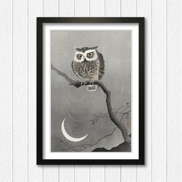 COOL OWL FRAMED WALL ART PICTURE PRINT ARTWORK POSTER JAPANESE 4 SIZES